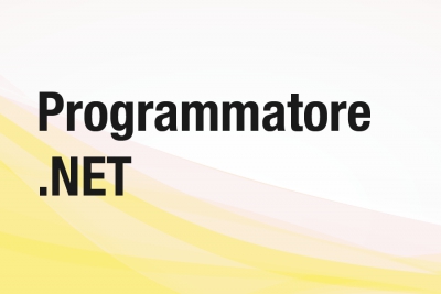 Programmatore .NET