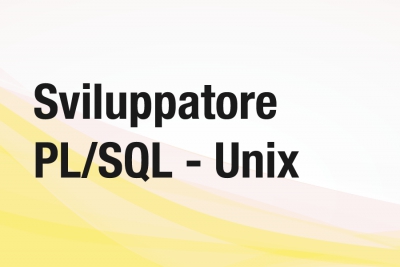 Cerchiamo Sviluppatore PL/SQL - Unix